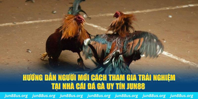 vn123 club CQ9 Điện Tử