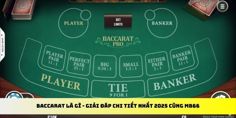 vn123 club gà chọi cu cần