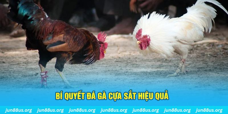 vn123 club xin 1 slot là gì
