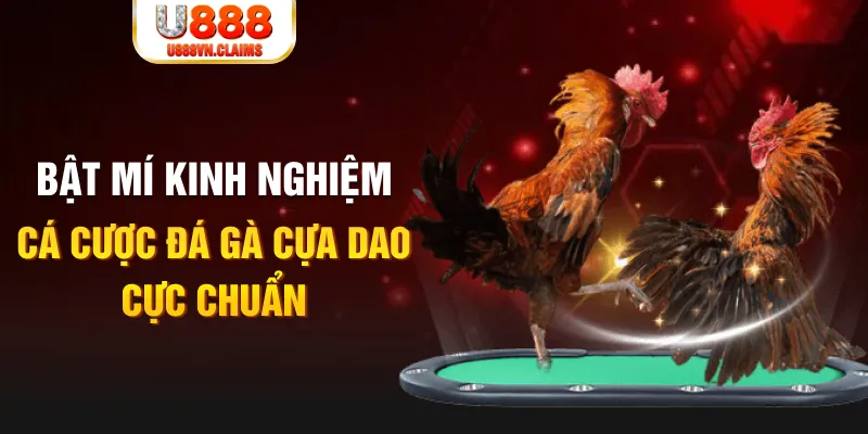 vn123 club tỷ lệ cá cược châu á là gì