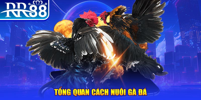 vn123 club VA Điện Tử