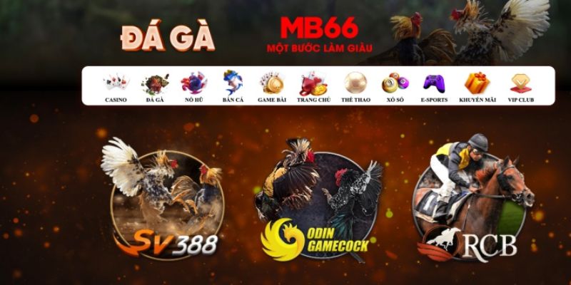 vn123 club đăng nhập poker số 1