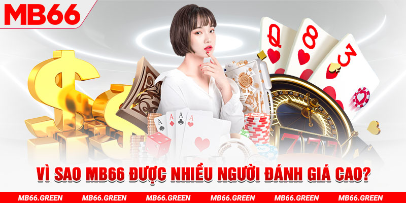 vn123 club đá gà