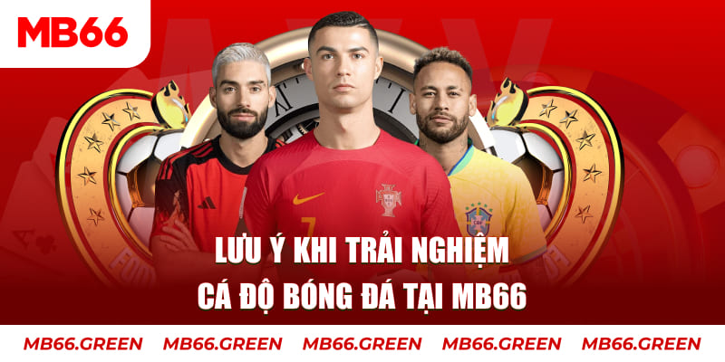 vn123 club cá cược là gì