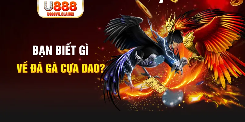 vn123 club nổ hủ là gì