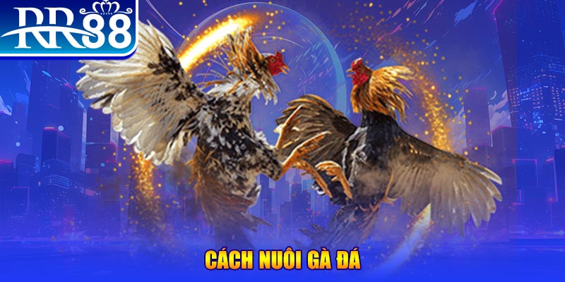 vn123 club xổ số an giang