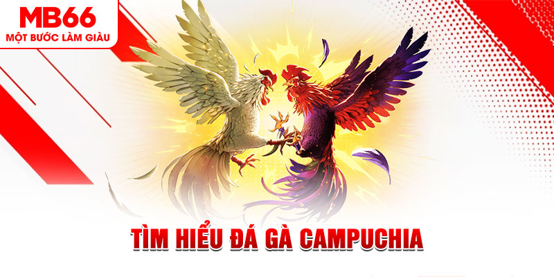 vn123 club đá gà trực tiếp