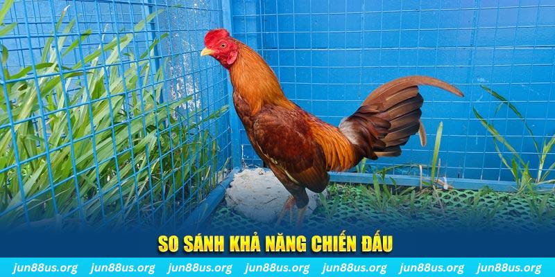vn123 club tai game dau bai yugioh cho may tinh