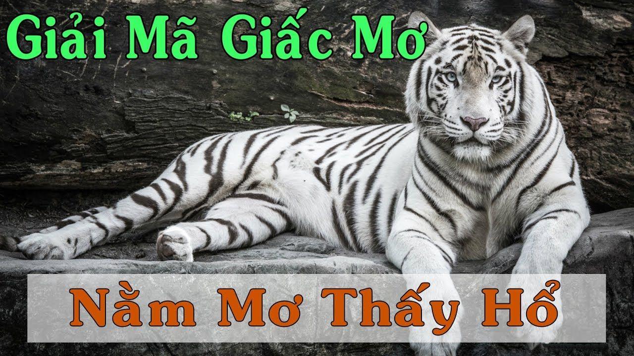 vn123 club WM Trực Tuyến