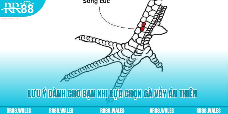 vn123 club xổ số đồng nai
