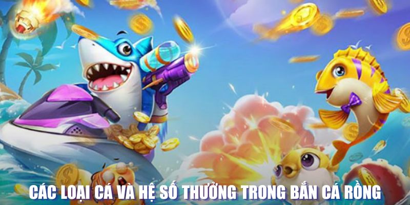 vn123 club đăng nhập sòng bạc mới nhất