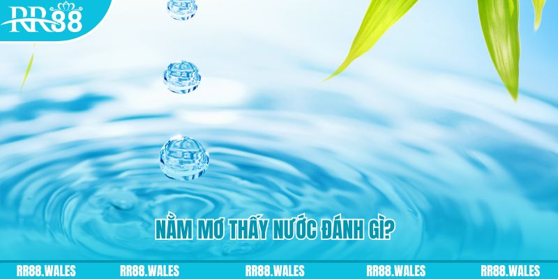 vn123 club TP Bắn cá