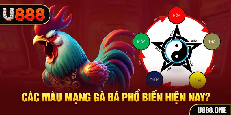 vn123 club trực tiếp đá gà 88