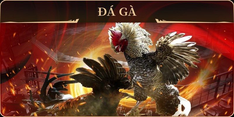 vn123 club xổ số miền nam thứ hai