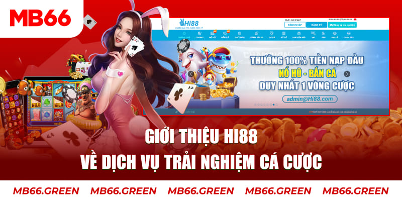 vn123 club ga choi hoa phong