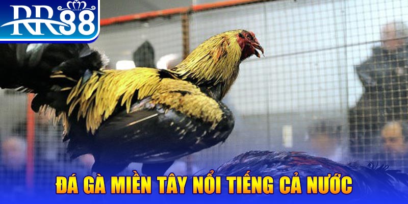 vn123 club JILI Game Bài 3d