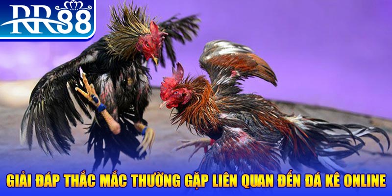 vn123 club xổ số đà lạt