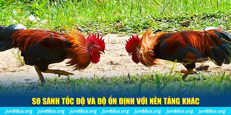 vn123 club đá gà hôm nay