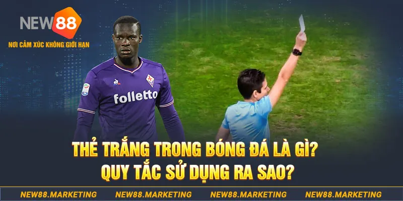 vn123 club gà chọi mộc hóa