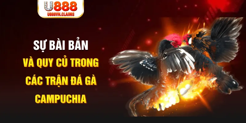 vn123 club YGR Điện Tử