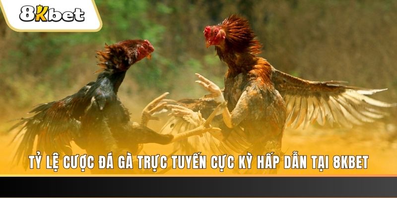 vn123 club đăng nhập phỏm trực tiếp