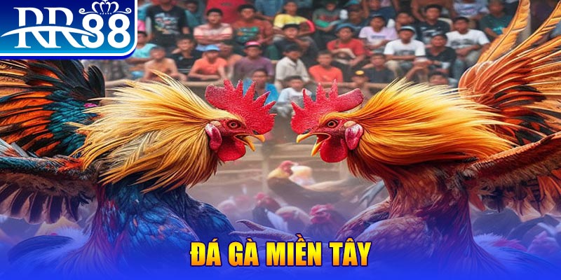 vn123 club chơi slot là gì