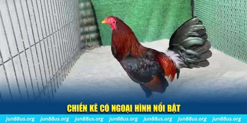 vn123 club chạy quảng cáo cho game bài bị phạt như thế nào