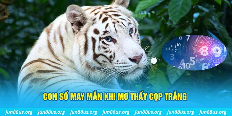 vn123 club đá gà trực tiếp 88