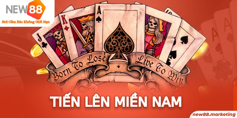vn123 club xổ số miền nam thứ sáu
